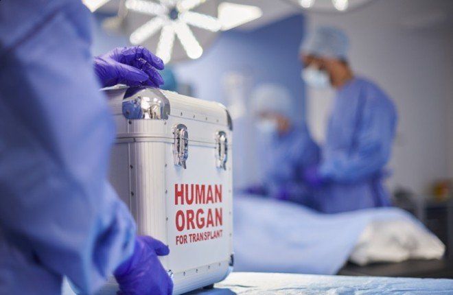 ابتكار صيني واعد يطيل عمر الأعضاء ويعيد رسم مستقبل زراعتها