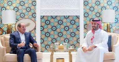 النائب وليد خطاب: اتصال الرئيس السيسي ومحمد بن سلمان يعزز وحدة الصف العربي