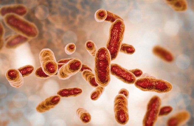 ابتكار طبي.. تشخيص العدوى البكتيرية في دقائق عبر تحليل النفس