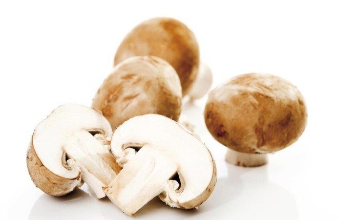 دراسة يابانية: تناول الفطر بانتظام قد يعزز الذاكرة لدى كبار السن