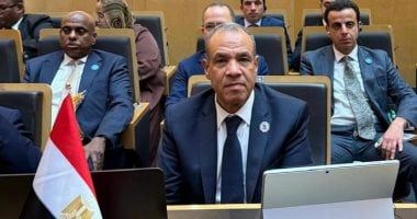 مصر تدين مخططات إرهابية تستهدف أمن واستقرار دول الخليج