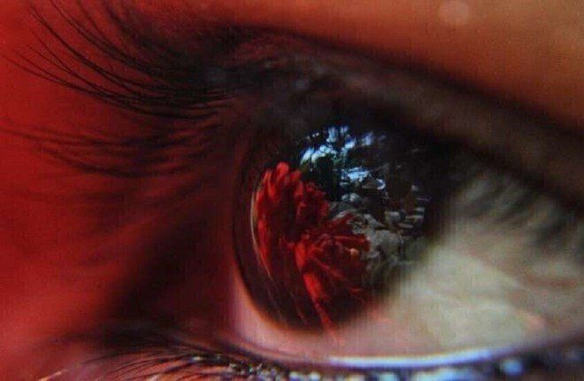 دراسة: دواء شائع للسكري قد يساهم في تقليل خطر الضمور البقعي المرتبط بالعمر