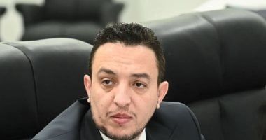 النائب مصطفى أبو زهرة: مصر تتحرك بحكمة لترسيخ الاستقرار الإقليمي
