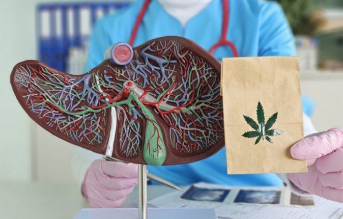 القنب قد يكون مفتاحا لعلاج مرض الكبد الدهني