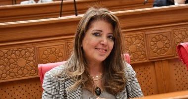 النائبة داليا السعدنى: جولة الرئيس السيسى الخليجية ترسخ التضامن العربى