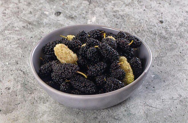 مستخلص من التوت يعزز صحة الأمعاء ويقلل الالتهابات في تجارب مخبرية