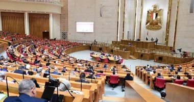 برلمانى: مصر لن تتخلى عن دعم ومساندة أشقائها تحت أى ظرف