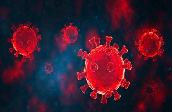 اكتشاف بكتيريا في الأنف قد تحمي من “كوفيد طويل الأمد” وتفتح آفاقًا لعلاجات وقائية