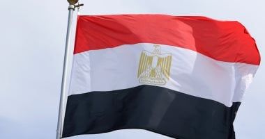 مصر تقود معادلة الاستقرار الإقليمي.. تحركات متوازنة ترسخ السلام وتمنع اتساع الصراعات.. سياسيون: القاهرة تملك رؤية قائمة على الحوار ودعم الحلول السياسية.. ويؤكدون: استقرار الخليج جزء من الأمن القومي العربي