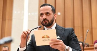 برلمانى: الجهود المصرية تستهدف الحفاظ على الأمن القومي العربي وحماية الشعوب