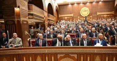 النائب عادل عتمان: التحركات المصرية ركيزة أساسية للاستقرار الإقليمى