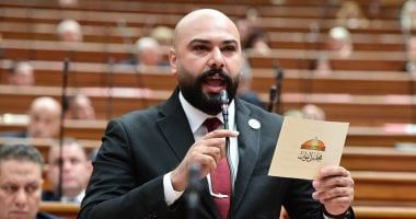 النائب إبراهيم الديب: مصر تتحرك بحكمة ورؤية واضحة لحماية المنطقة من الفوضى
