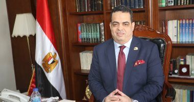 النائب عصام هلال: برلمان مصر بغرفتيه يرسخ عقيدة المصير الواحد وأمن الخليج خط أحمر