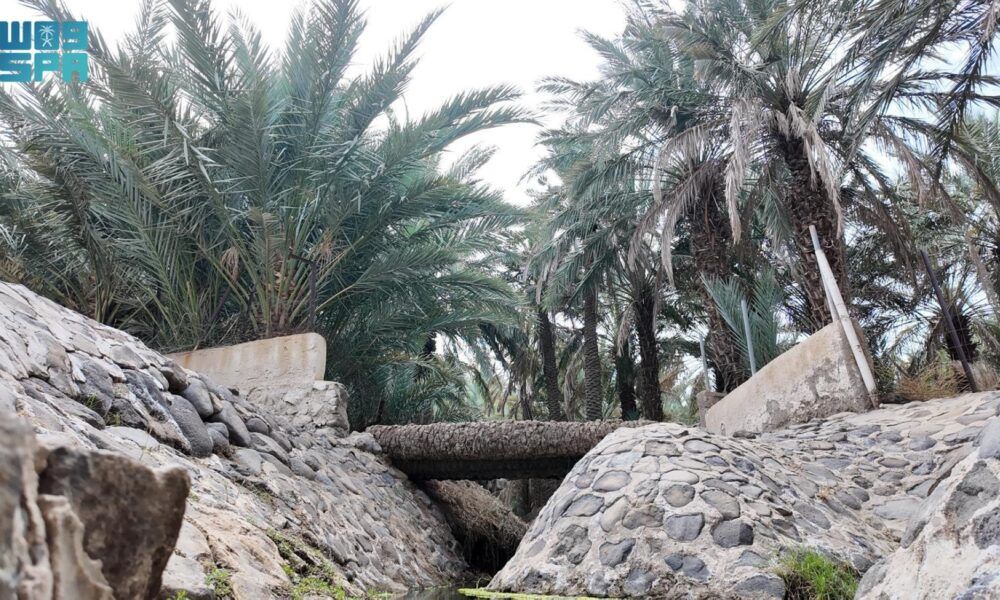 قرية رهاط: وجهة سياحية تجمع بين التاريخ والطبيعة بمكة