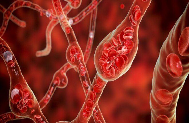 دراسة حديثة تكشف سببًا محتملًا جديدًا لارتفاع ضغط الدم وفتح آفاق لعلاجات مبتكرة