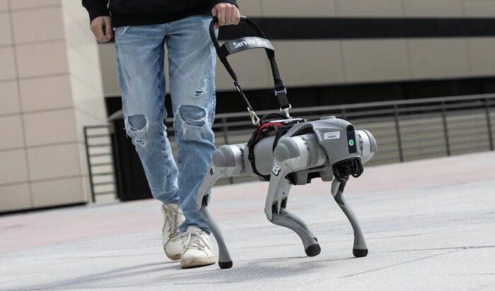 روبوت ذكي يساعد المكفوفين على التنقل ويعزز استقلاليتهم