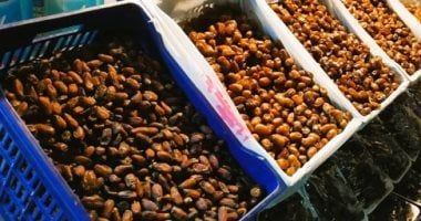 المجلس الدولى للتمور فى الرياض يرحب بانضمام ليبيا عضوًا رسميًا