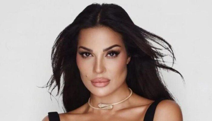 شاهد .. نادين نسيب نجيم ترسم حدود الخصوصية.. حساب سري للعائلة وآخر تحت أضواء الشهرة