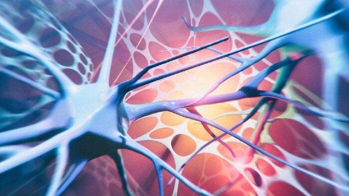 دراسة علمية تؤكد أهمية الجينات في تطور حالات مرضى العصبون الحركي