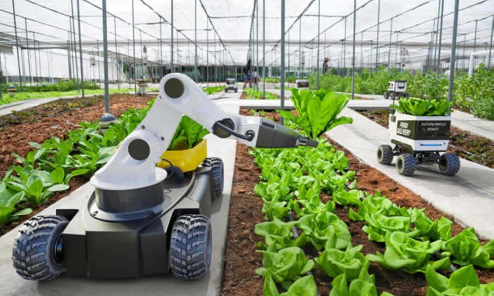 برنامج ريف السعودية: تعزيز السياحة الزراعية في الباحة