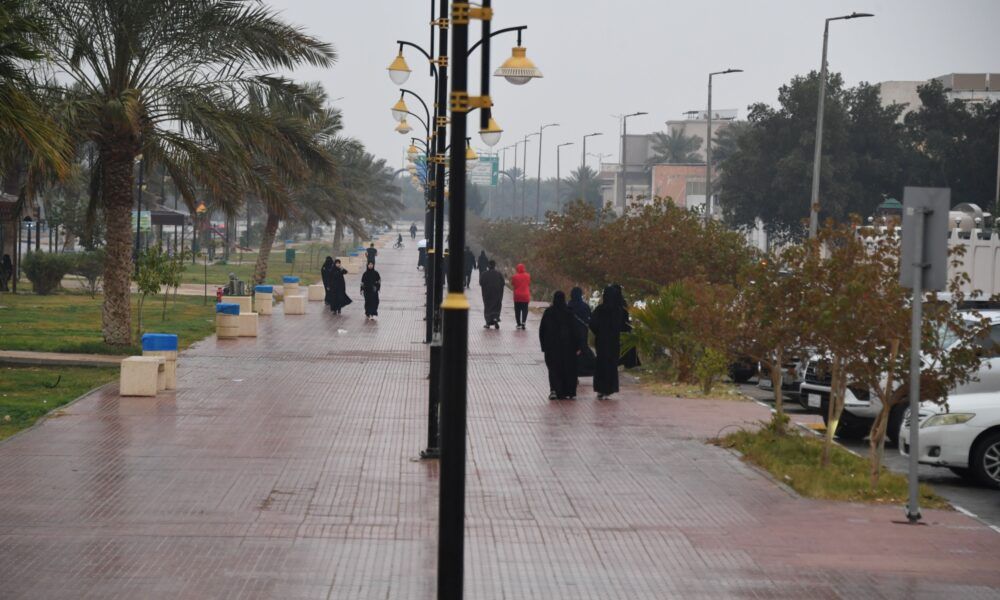 طقس السعودية: أمطار متفاوتة الغزارة تستمر حتى الأحد