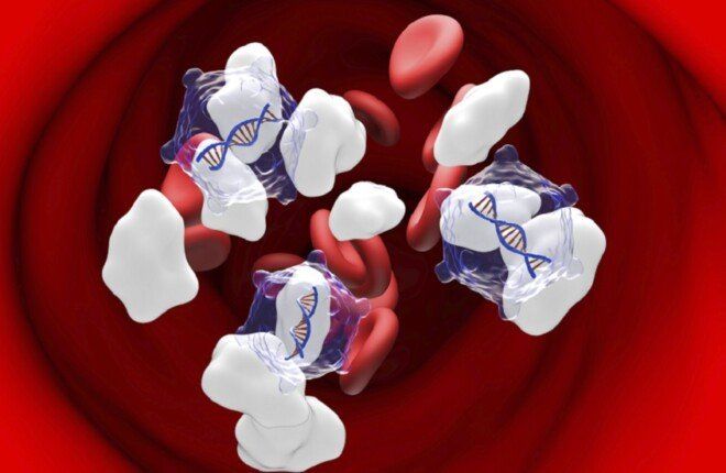 تقنية سويدية متقدمة تُحقق نتائج واعدة في علاج السكري من النوع الأول