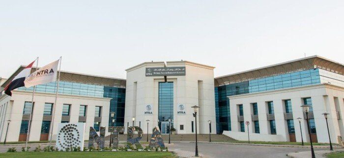 الاتصالات المصرية: 2 مليار جنيه لتدريب نصف مليون مواطن سنويًا ضمن استراتيجية بناء الإنسان الرقمي