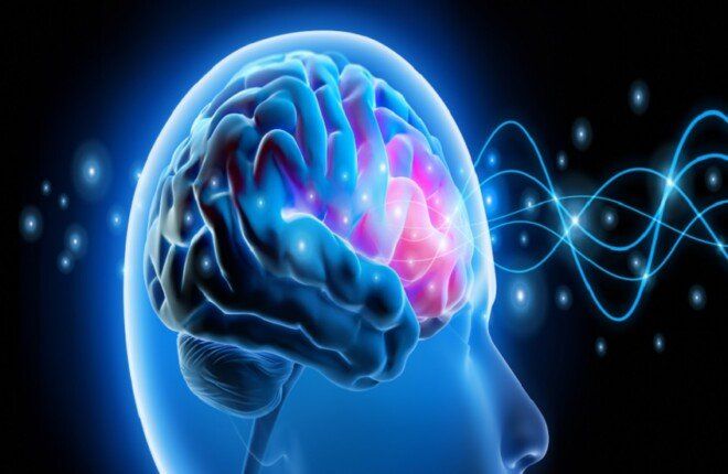 خطوات بسيطة تدعم صحة الدماغ وتحد من تدهوره مع التقدم في العمر