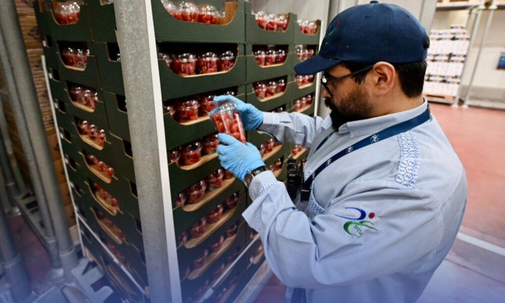 قرارات منع تخزين المواد الغذائية خلال الحج دون ترخيص