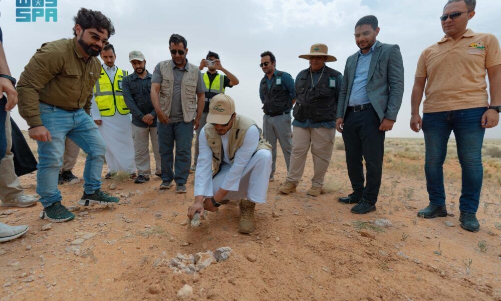 إطلاق 80 ضبًا في محمية الإمام عبدالعزيز لتعزيز التنوع البيئي