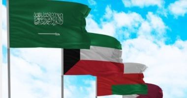 حماة الوطن: أمن الخليج جزء لا يتجزأ من الأمن القومي المصري