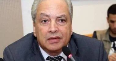 أستاذ علوم سياسية: مصر تبحث عن حلول سياسية ودبلوماسية عادلة للأزمات الراهنة