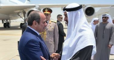 نائب: جولة الرئيس السيسى الخليجية تؤكد تحرك مصر لاحتواء التصعيد بالمنطقة