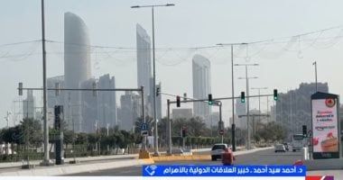 خبير: ثوابت السياسة الخارجية المصرية تنطلق من دعم الأشقاء العرب