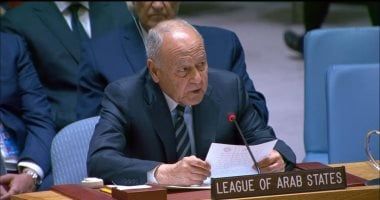 أحمد أبو الغيط يدين استهداف محطة براكة للطاقة النووية في الإمارات