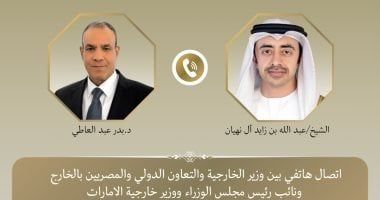 وزير الخارجية يبحث مع نظيره الإماراتي جهود خفض التصعيد ويدين استهداف محطة براكة