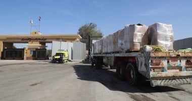 إدخال 60 شاحنة مساعدات إماراتية للفلسطينيين بغزة عبر ميناء رفح البرى
