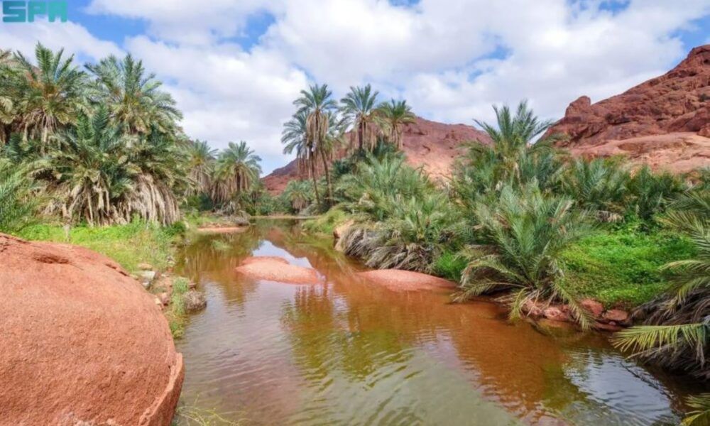 تتويج 3 مشاريع في هاكثون حائل لتعزيز قطاع السياحة محلياً