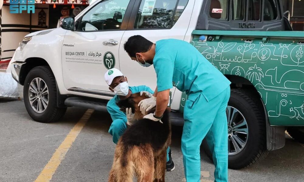 اعتماد دولي لبرنامج المملكة لمكافحة داء السعار رسمياً
