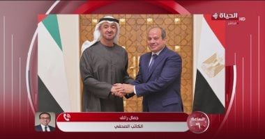 جمال رائف: لقاء السيسي وبن زايد بالقاهرة "تنسيق قمة" قبل G7