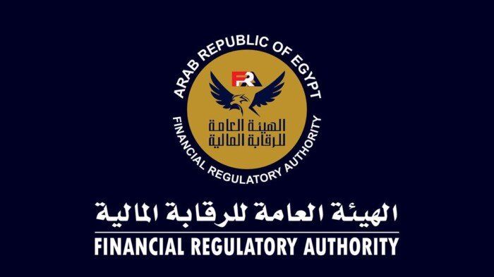 الرقابة المالية: إصدار 5 موافقات مبدئية لمشروعات مبتكرة في مجال التكنولوجيا المالية