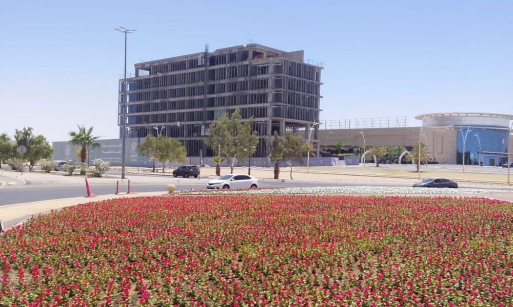 زراعة مليون وردة تعزز المشهد الحضري في الحدود الشمالية