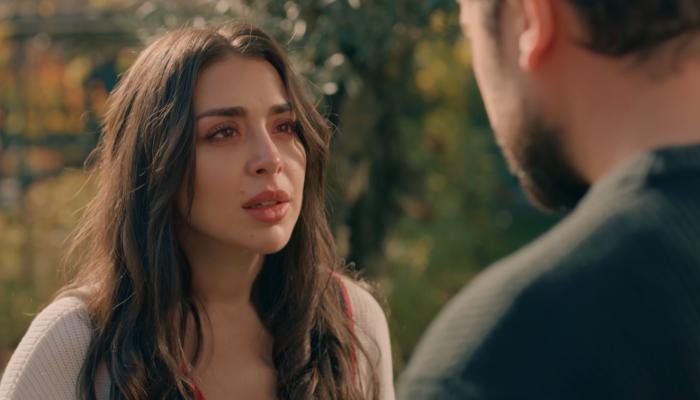 شاهد .. الحلقة 23 من «حب على ورق».. موعد العرض وتطورات مرتقبة بعد مواجهة أوس ولين
