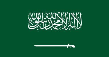 تقرير: 76.9% نسبة التسوق الإلكترونى فى السعودية.. والنساء فى الصدارة