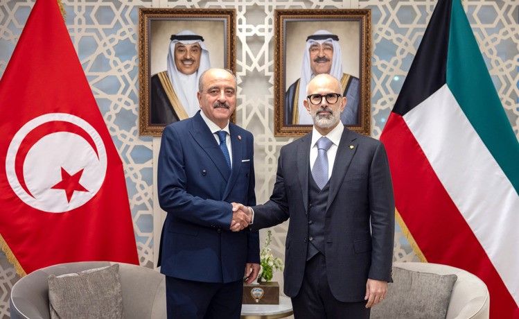 وزير الخارجية بحث مع نظيريه في تونس وجيبوتي المستجدات الإقليمية والدولية
