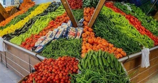 207 ملايين دولار صادرات مصر من الخضروات المجمدة خلال 2025