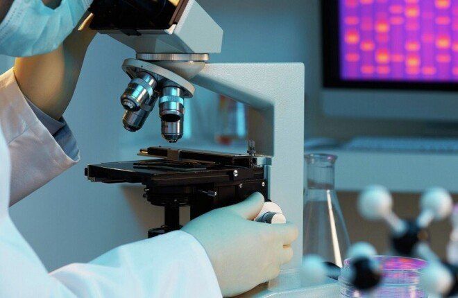 علماء روس يبتكرون إسفنجًا طبيًا لوقف النزيف وتثبيت الجلطات ومكافحة البكتيريا