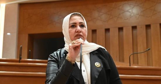 سحر صدقى: مصر لن تقف مكتوفة الأيدى أمام أى تهديد يمس الأشقاء