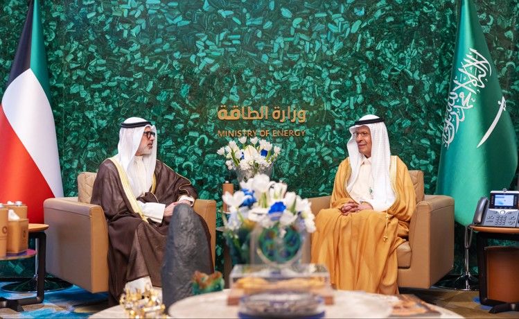 وزير الخارجية جدد تضامن الكويت المُطلق مع السعودية: ندعم كل إجراءات المملكة لصون سيادتها وحماية أمنها واستقرارها