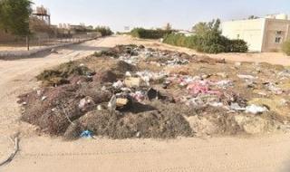 بالفيديو.. «كبد المنسيَّة»..إنقاذها يساهم في ضمان الأمن الغذائي بالكويت